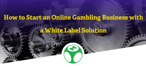 The White Label Solution, a Convenient Way to Start an Online Gambling ...