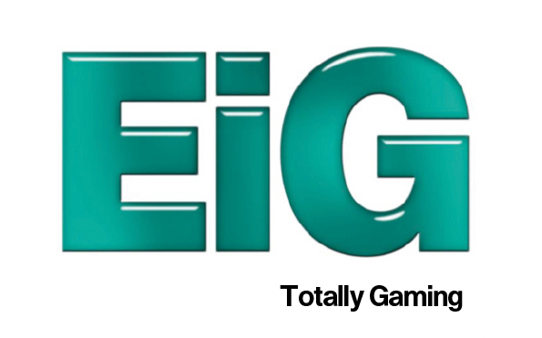 The EiG annual European conference